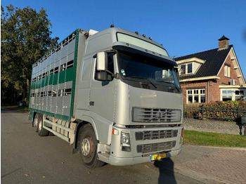 Livestock truck VOLVO FH12 500