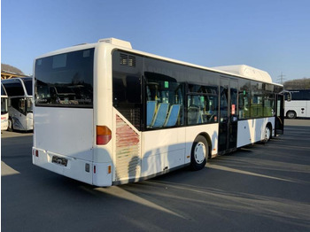 Suburban bus Mercedes Citaro O 530 CNG: picture 4