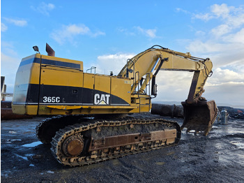 Crawler excavator Cat 365C: picture 3