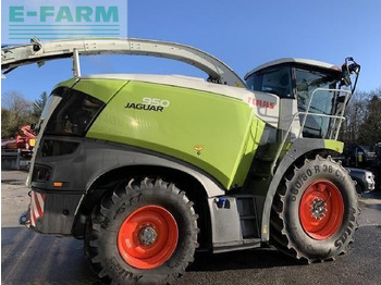 Forage harvester CLAAS USED JAGUAR 950 T4: picture 5