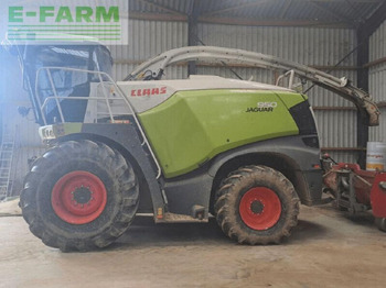 Forage harvester CLAAS Jaguar 950